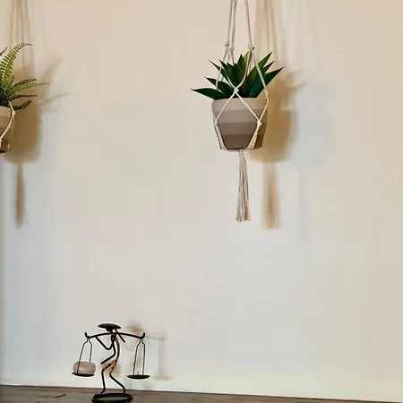 Mrhost * 브라쇼브